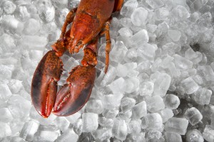 The Lobster Shack Restaurant